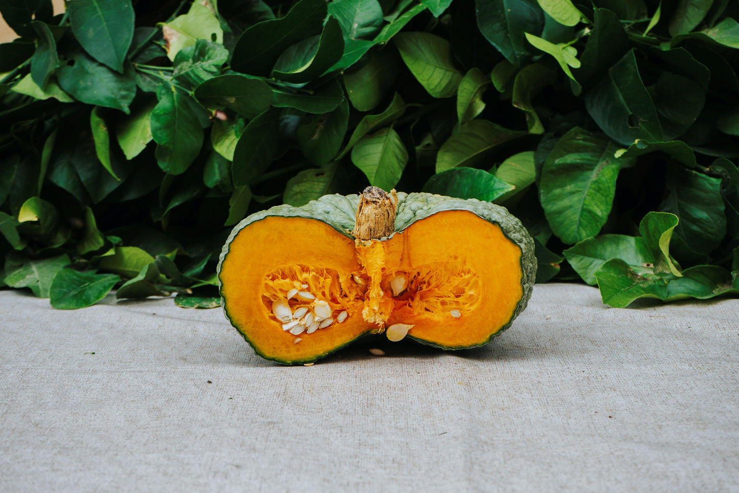 Calabaza