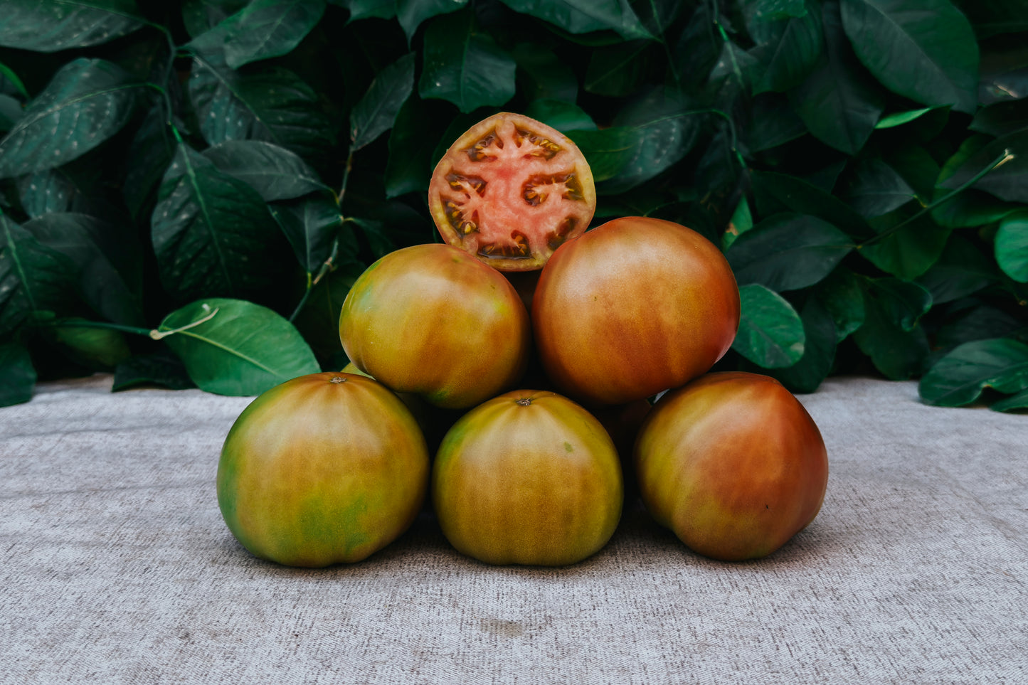 Tomate del Terreno