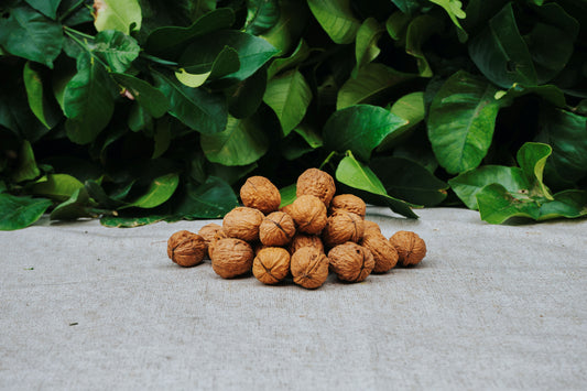 Nueces