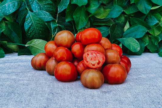 Tomate del Terreno Pequeño