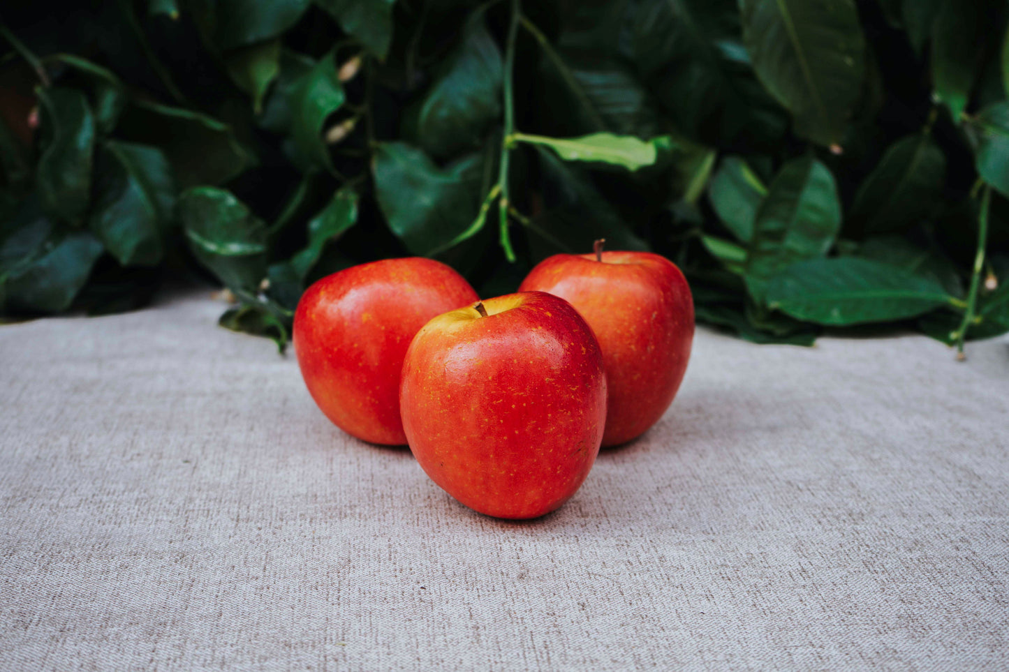 Manzana Fuji