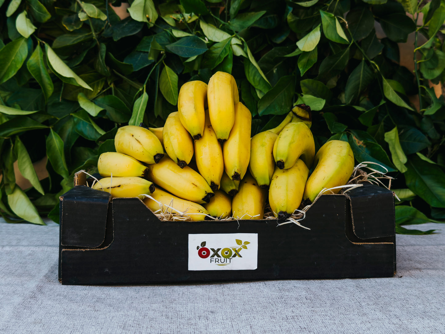 Banana