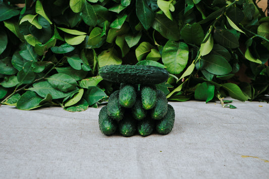 Pepino