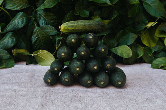 Pepino del Terreno
