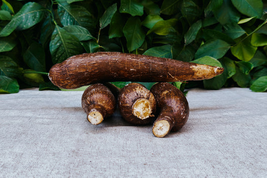 Yuca